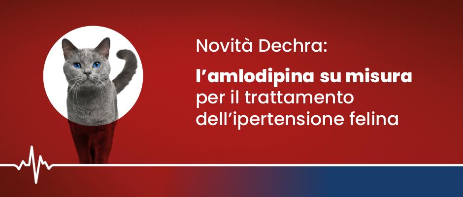 Novità: è disponibile la soluzione Dechra per l’ipertensione felina