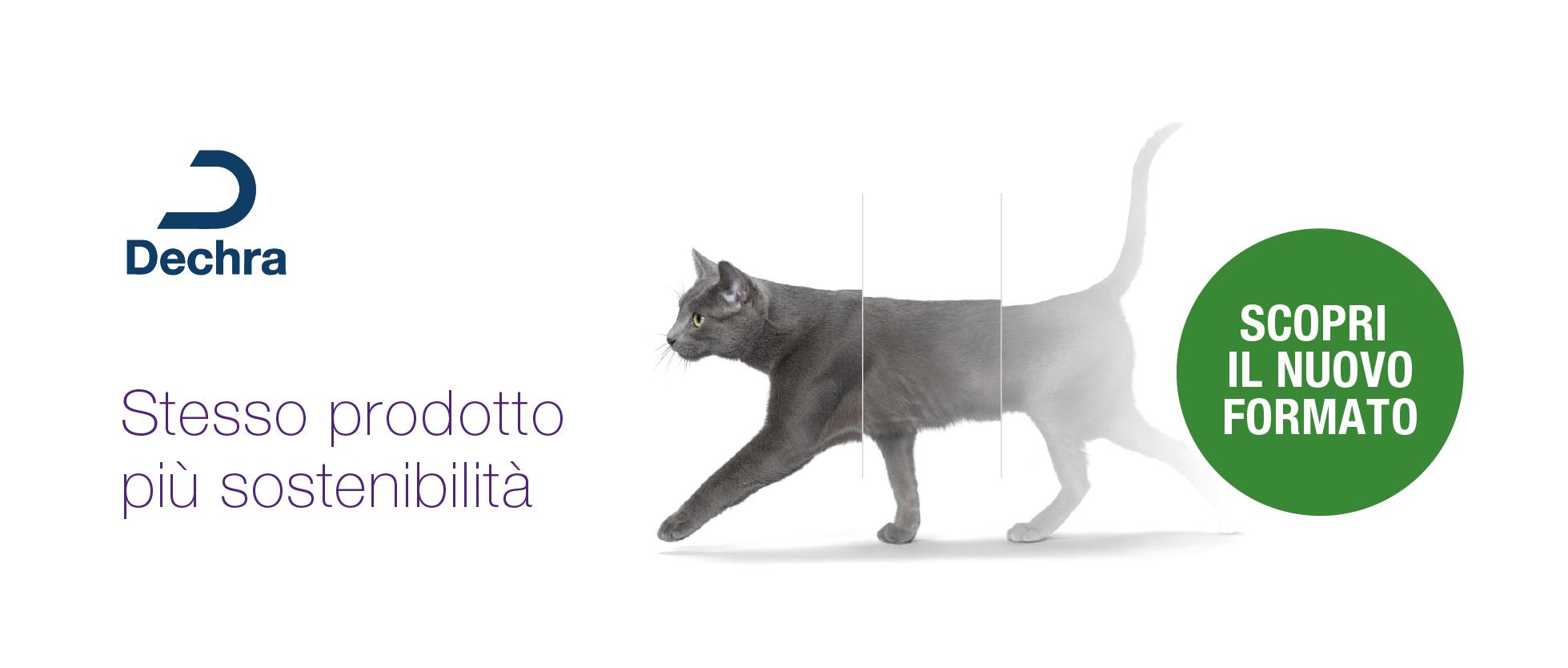 Novità: una soluzione ancora più pratica e sostenibile per la gestione  dell'inappetenza del gatto