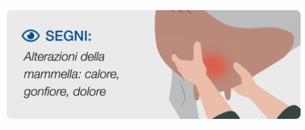 Stage 2 Mastitis in cows Clinical signs of mastitis involving cows in pain