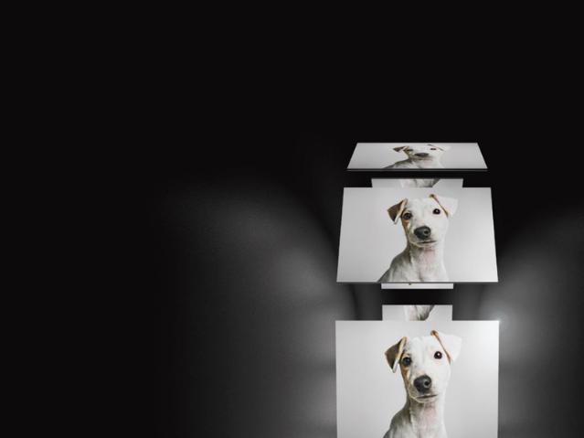 Canine Hypoadrenocorticism